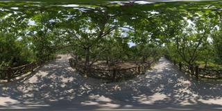 茂县农业基地图片 (30)